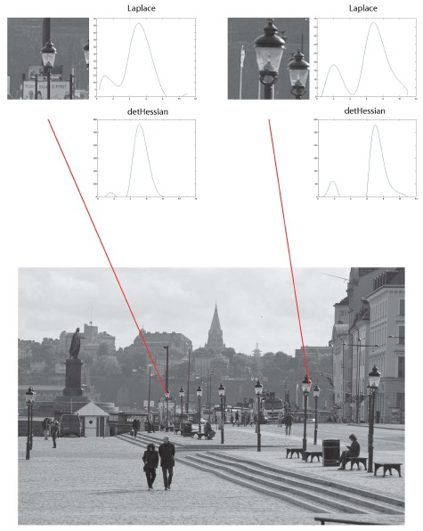 Figure 12 from Lindeberg (2013) 'Invariance of visual operations at the level of receptive fields', PLOS ONE 8(7): e66990, pages 1-33, doi:10.1371/journal.pone.0066990.