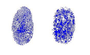 fingerprints