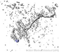 aneurism_subregion_selectedCrits