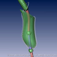 Cavity2D100DetailCSL_ISL