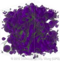 borromean_curvature_sift