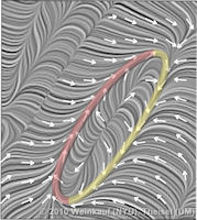 CavityFoldStableFFFLICVec