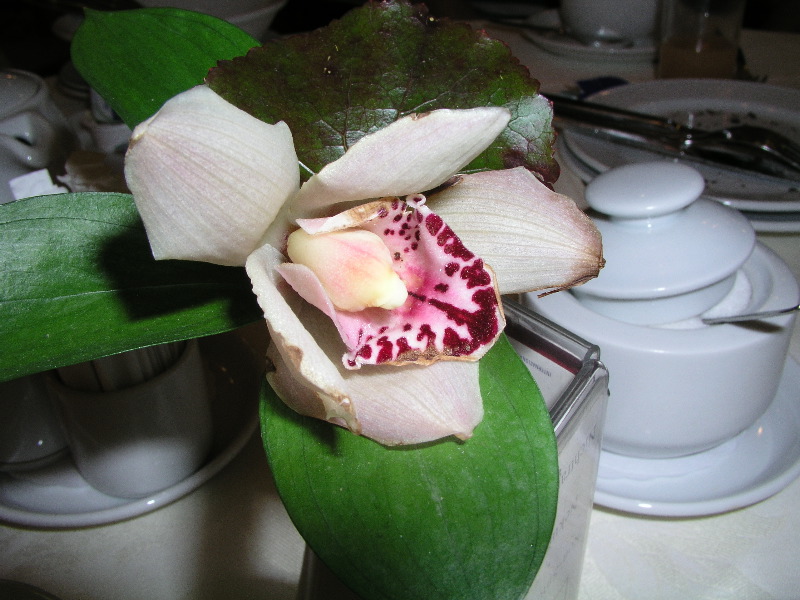 P3290057