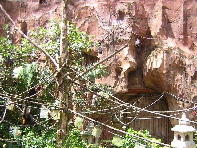 DSCN1415.JPG