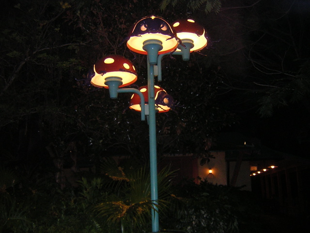 DSCN1430.JPG