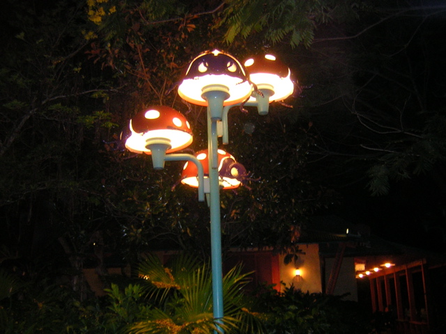 DSCN1431.JPG