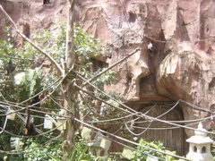 DSCN1415.JPG
