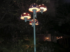 DSCN1430.JPG
