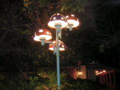 DSCN1431.JPG