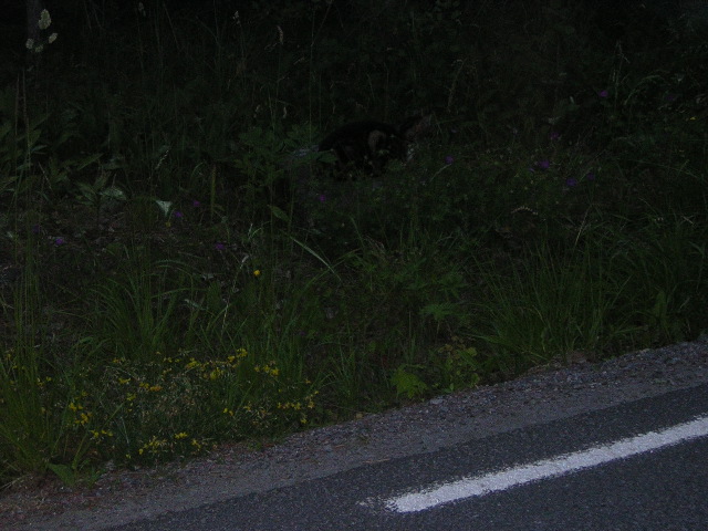 DSCN0335.JPG