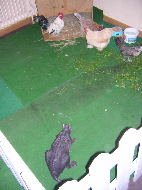 DSCN0373.JPG