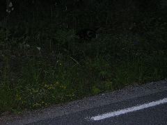 DSCN0335.JPG