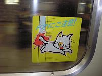 070310_ajajkatt Akta s att katten inte klmmer svansen i drren