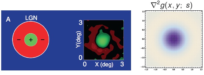 Figure 8 from Lindeberg (2013) 'Invariance of visual operations at the level of receptive fields', PLOS ONE 8(7): e66990, pages 1-33, doi:10.1371/journal.pone.0066990.