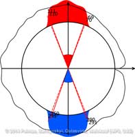 VerticalDirectionsInsights