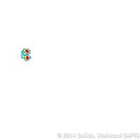 emdb1603_s47ch
