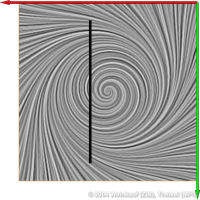 CSLDetectionDouble2DSetup