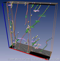 2D time-dependent flow at a cavity. Stream line oriented topology of the first 100 time steps. Cover image of EuroVis06 Proceedings.