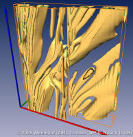 Cavity2D100PathTopo