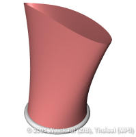 PathTopoExplainSaddle