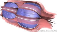 Separation surfaces of a modeled vector field, which has been constructed using 3 saddle points and a number of saddle connectors.