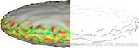 RTSC_pill_noise0.1