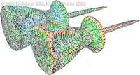 ScrewdriverDualInitialSkeleton